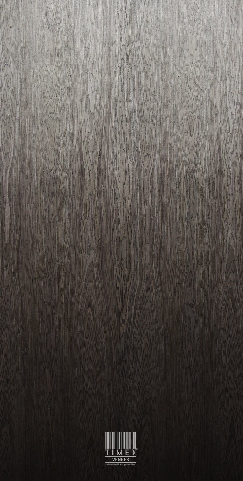 MARSH MELLO GREY ASH (0.5) HYBRID - Timex Veneer