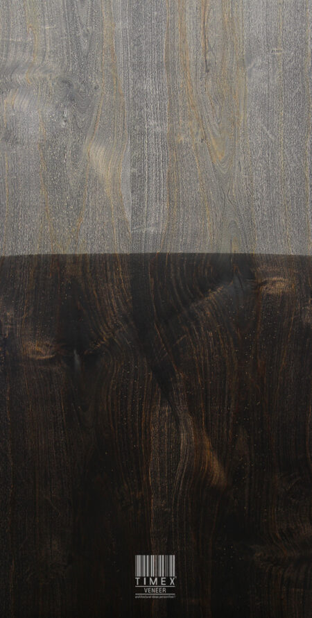 ANGELO CHARCOAL