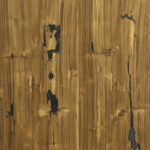 CRACK-srs-teak-crown.jpg