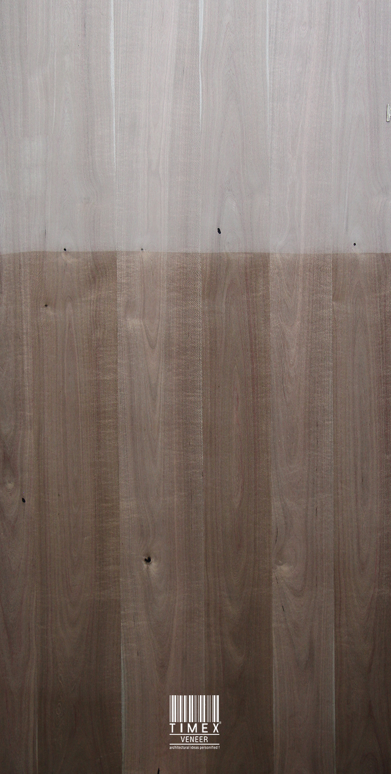 LACEWOOD SILVERY