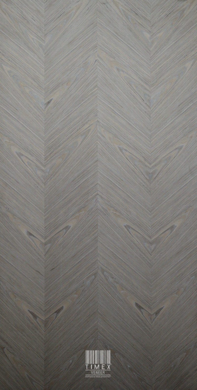 MTC 829 - FOSSIL GREY