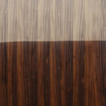 SANTOSH-ROSEWOOD.jpg