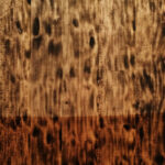 SNAKE-WOOD.jpg