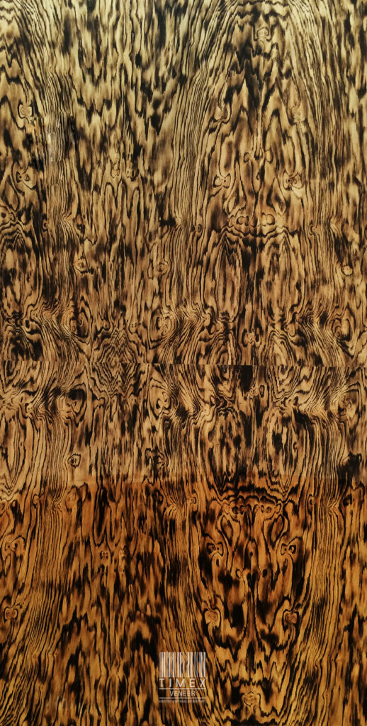 SWISS OAK BURL – Timex Veneer