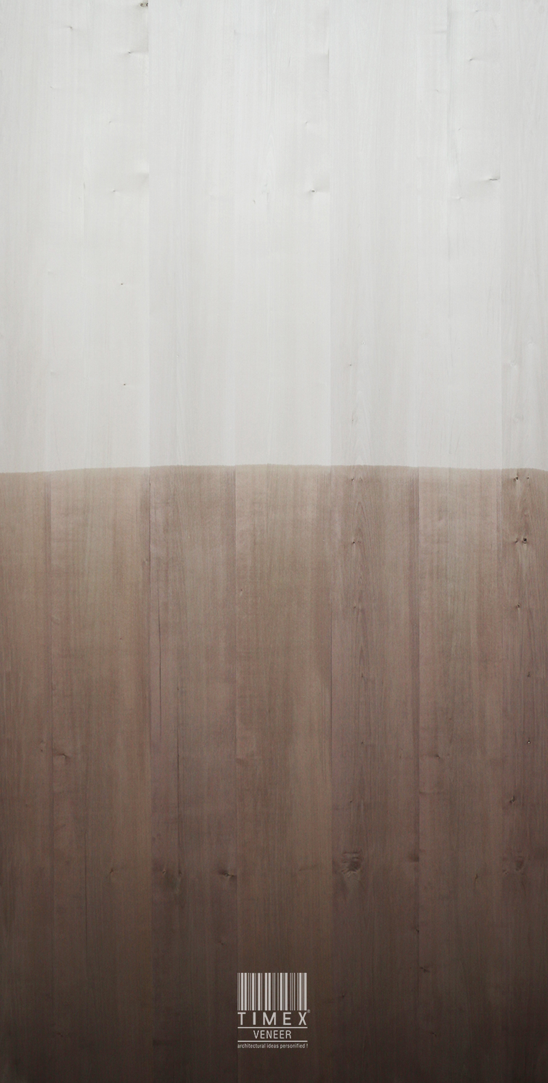 SYCAMORE DYED O.C-01