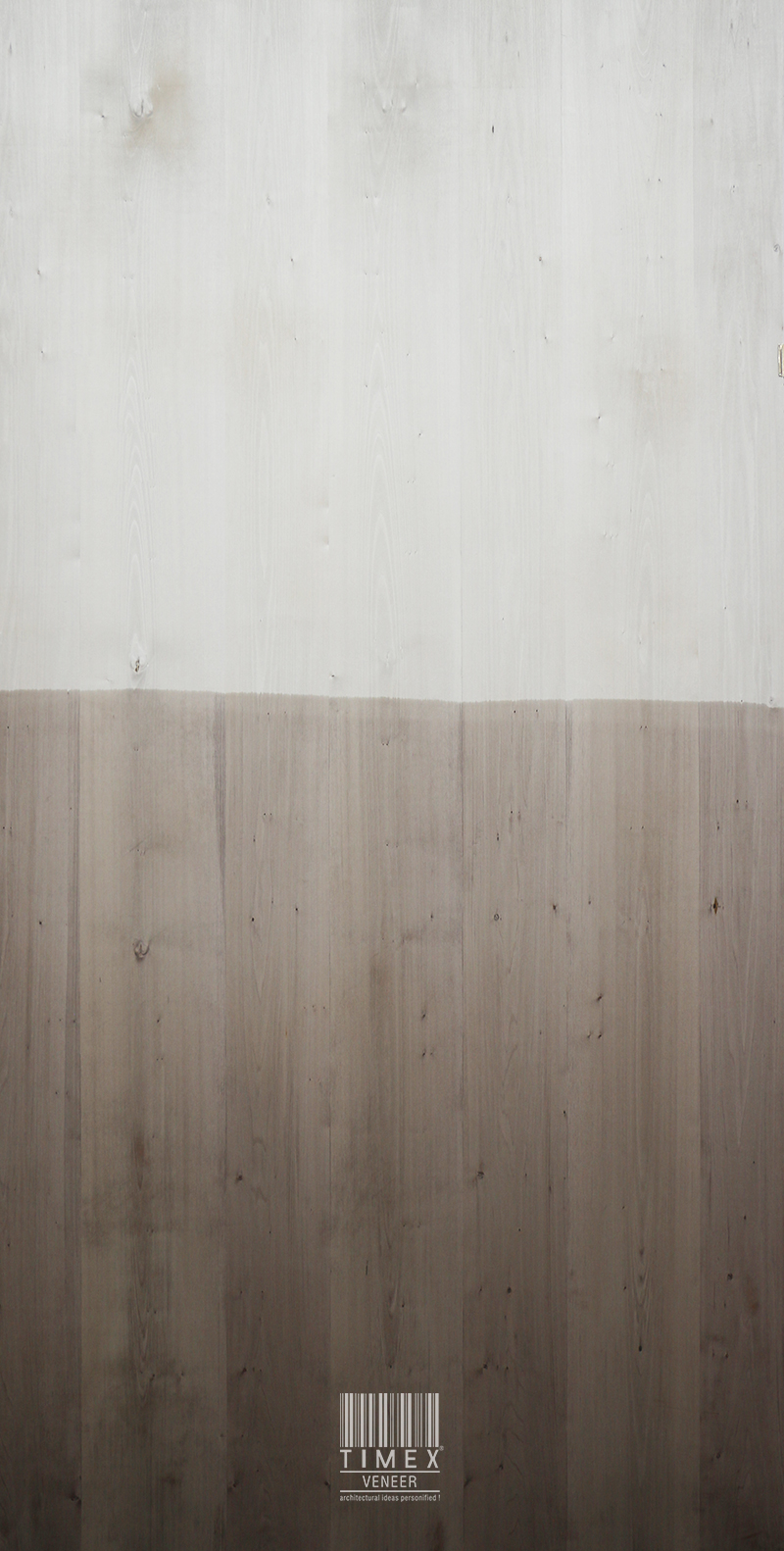 SYCAMORE DYED O.C-02