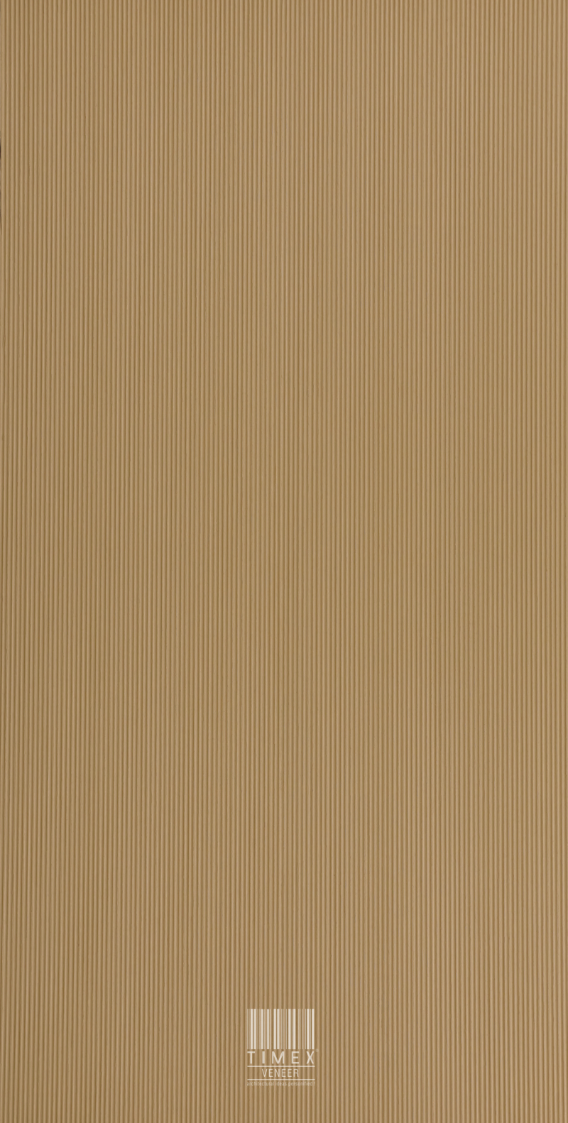 T12 102