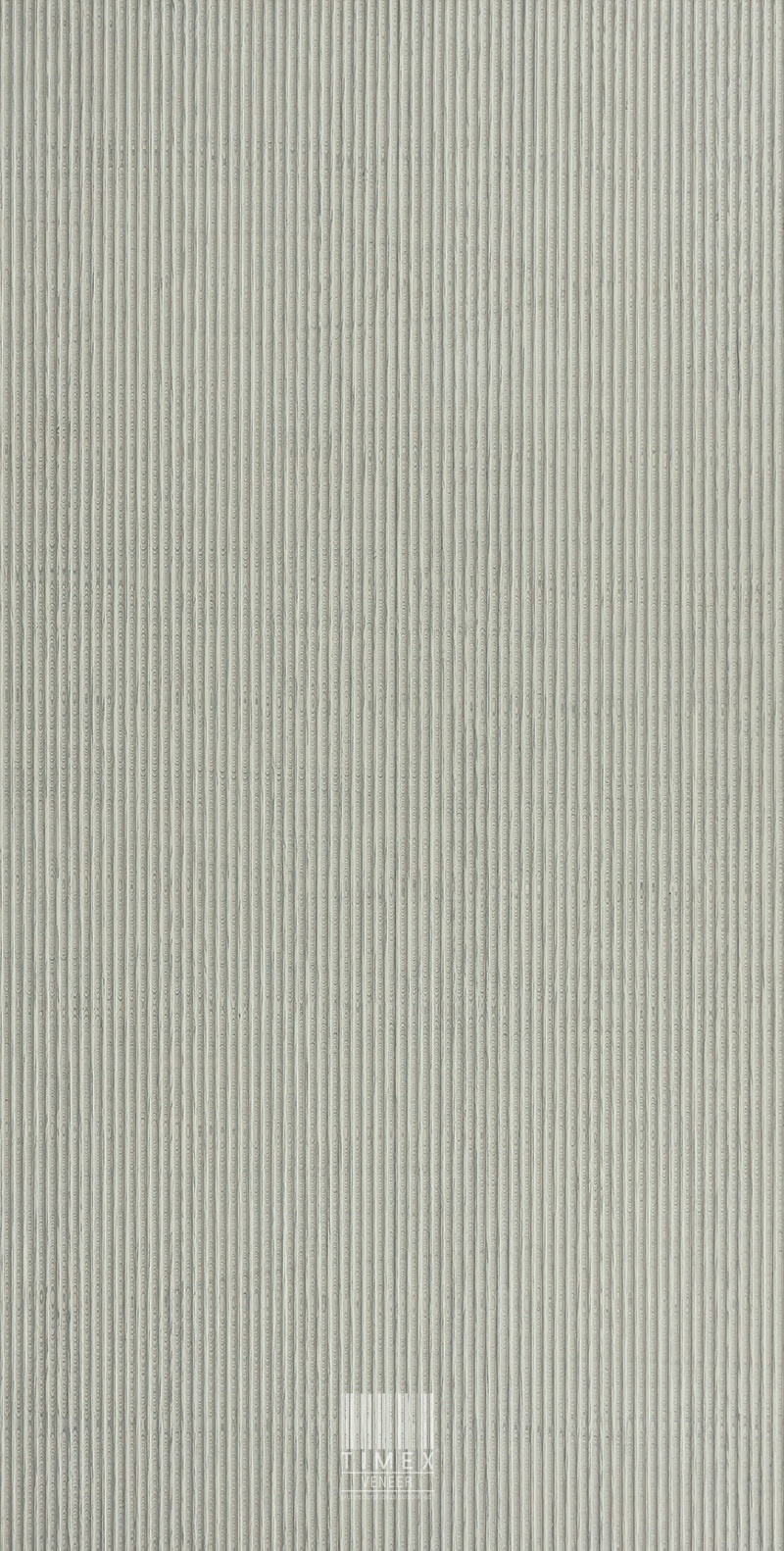 T21 4028