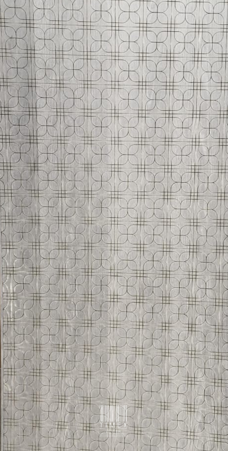 Limousine series NO 904