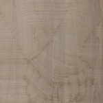 Limousine-series-no-902