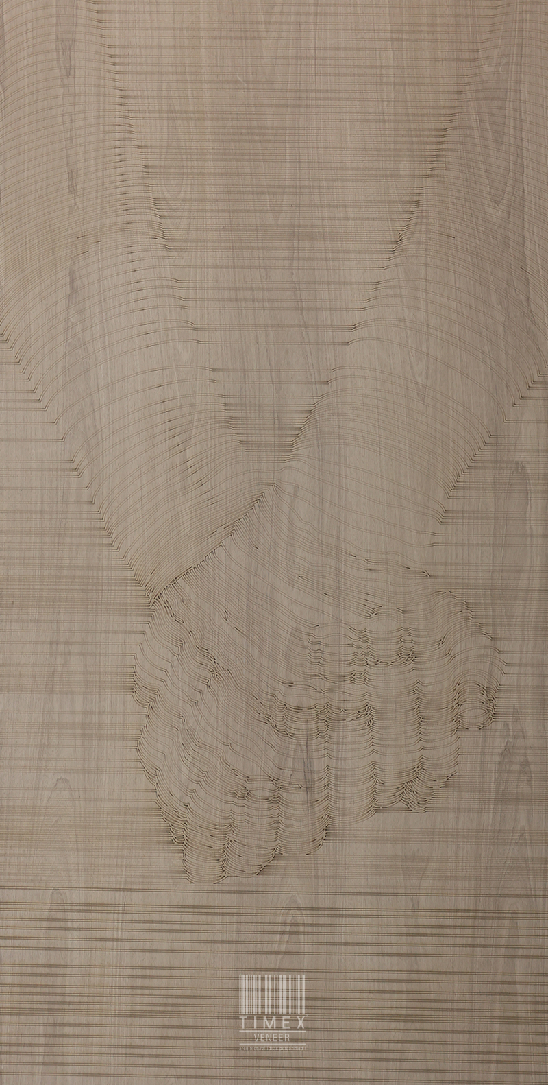 Limousine Series No 902