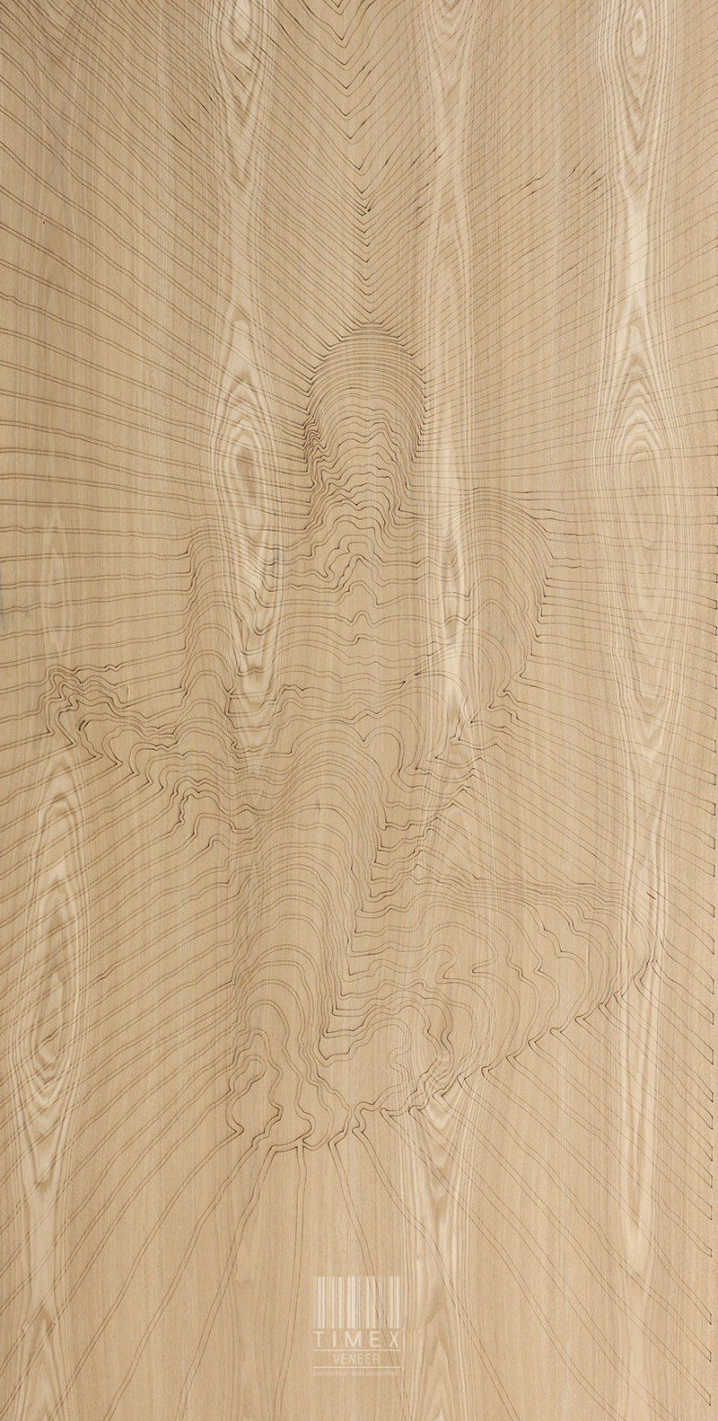 limousine series no 903